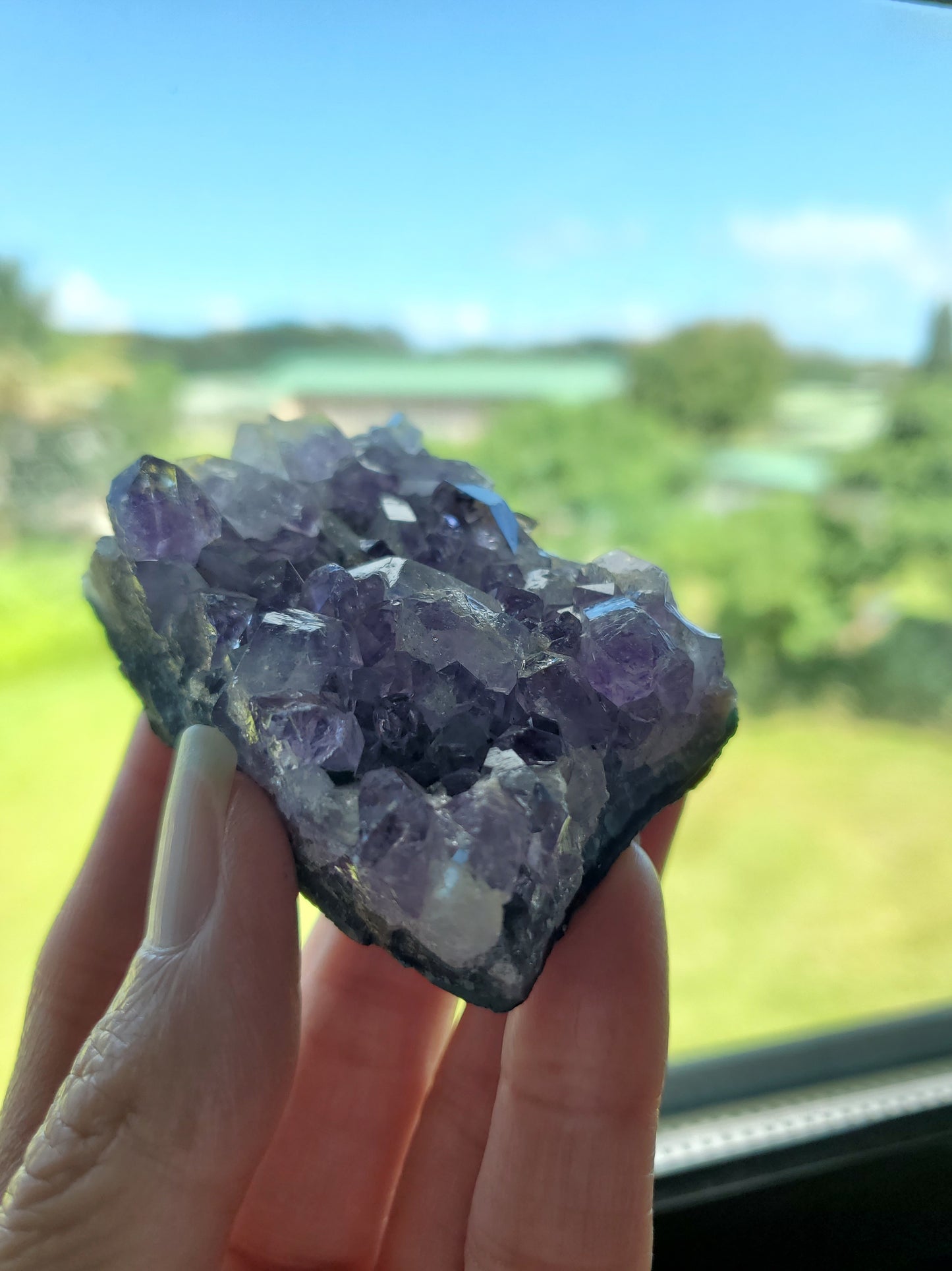 Amethyst Cluster AE