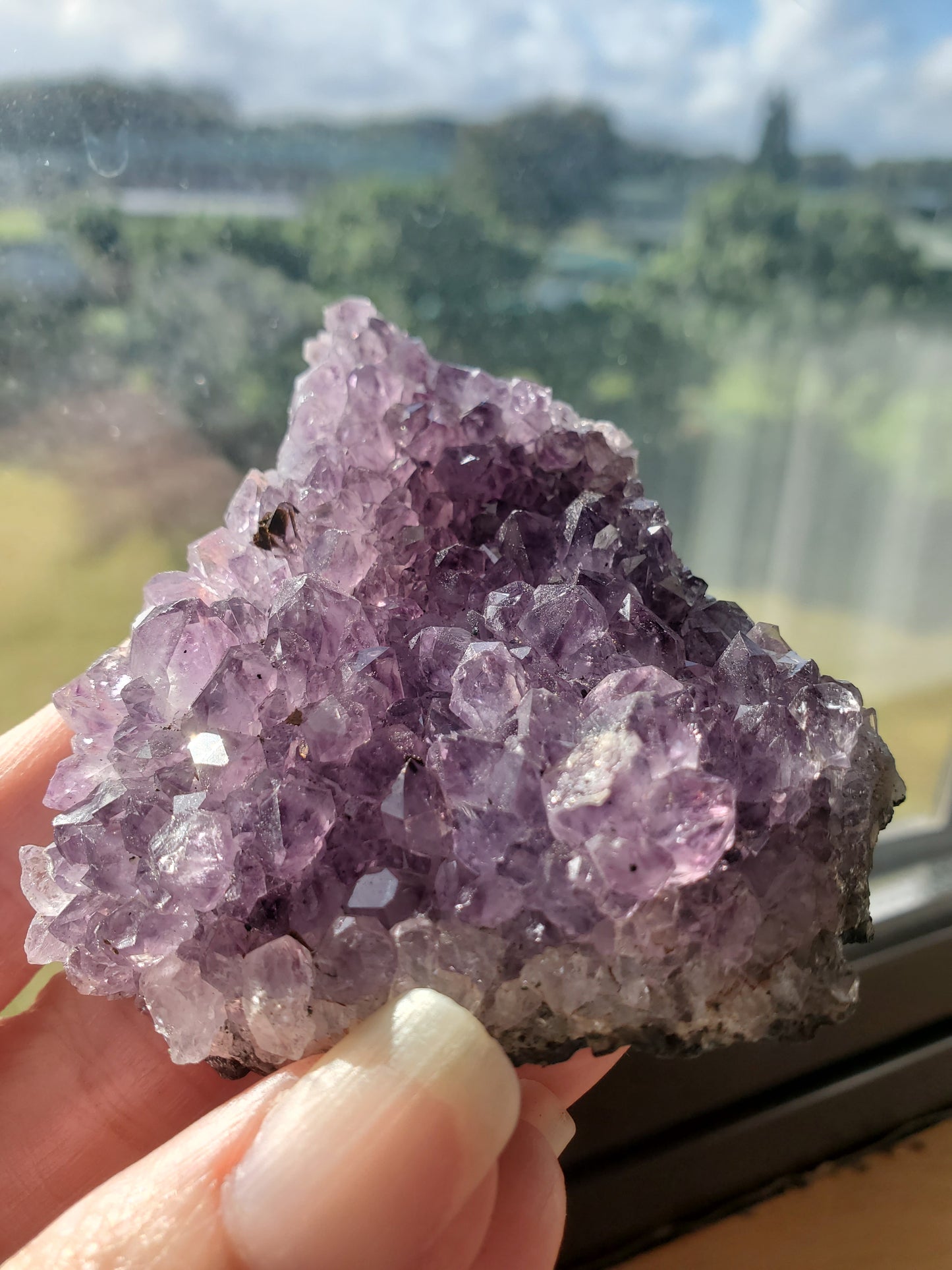 Amethyst Cluster C
