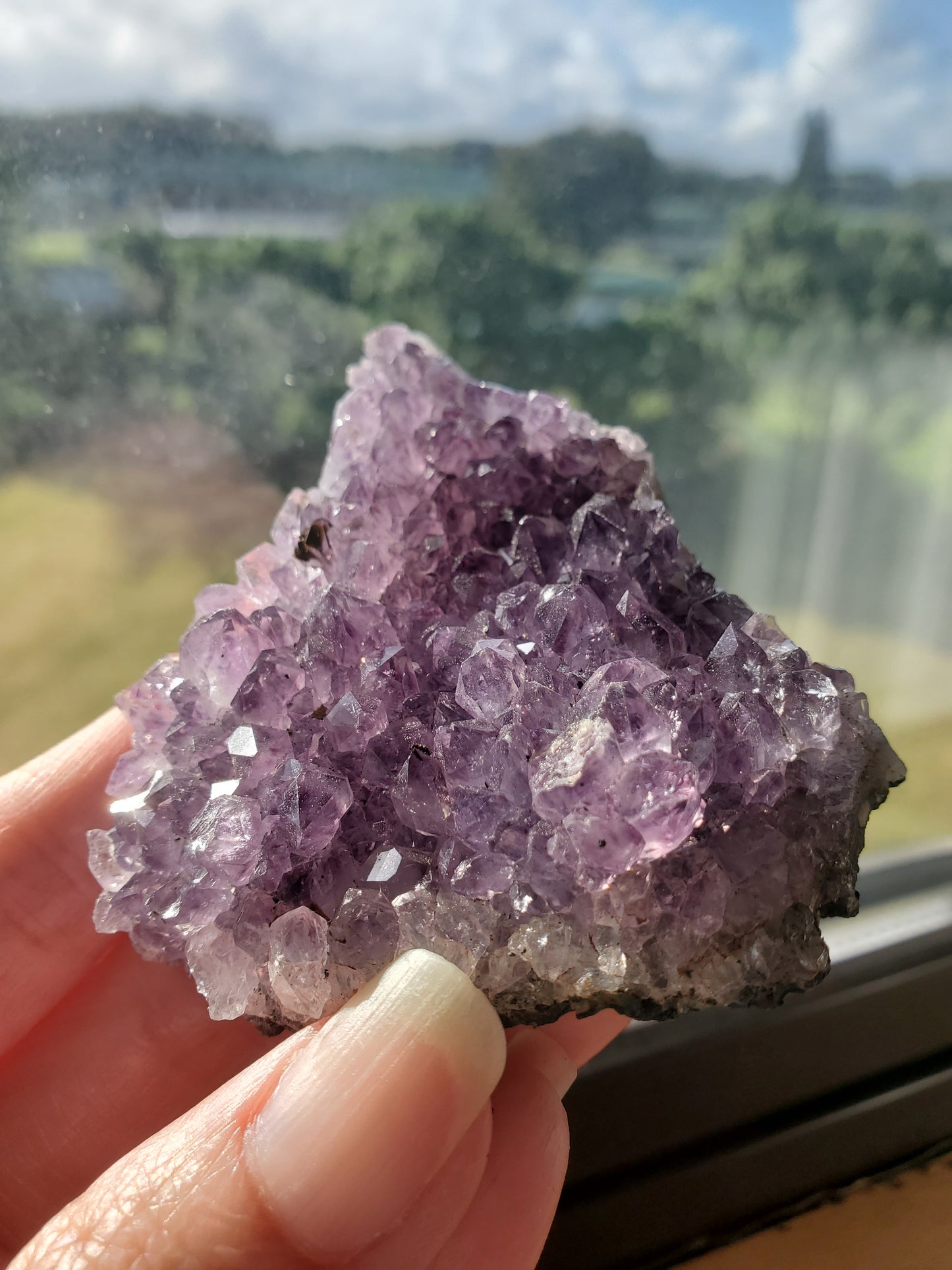 Amethyst Cluster C