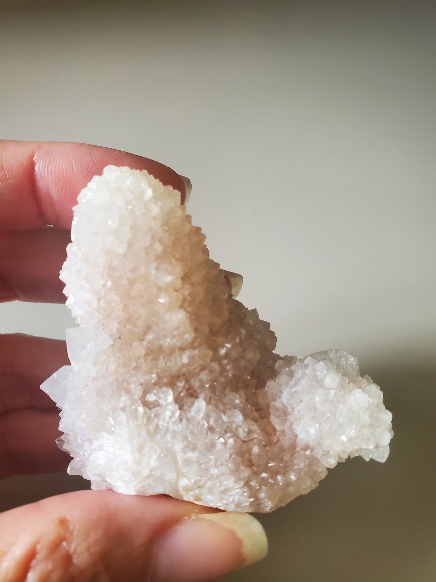 Cactus Spirit/Angel Quartz Purple B