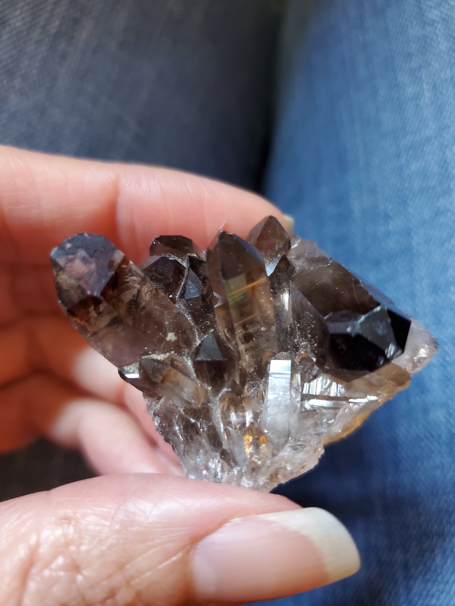 Smoky Quartz Cluster F