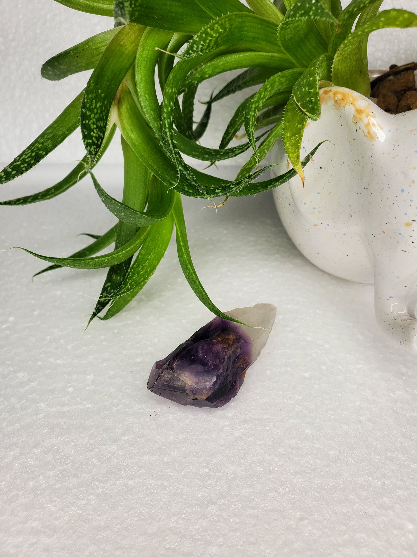 Natural Phantom Amethyst Root Crystal A