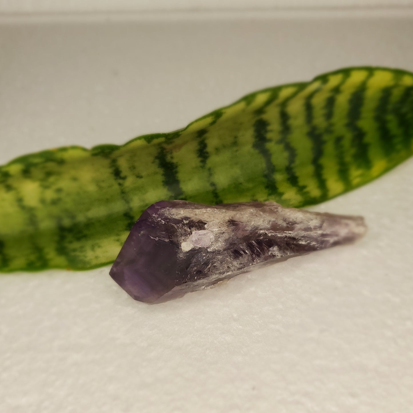 Natural Phantom Amethyst Root Crystal C