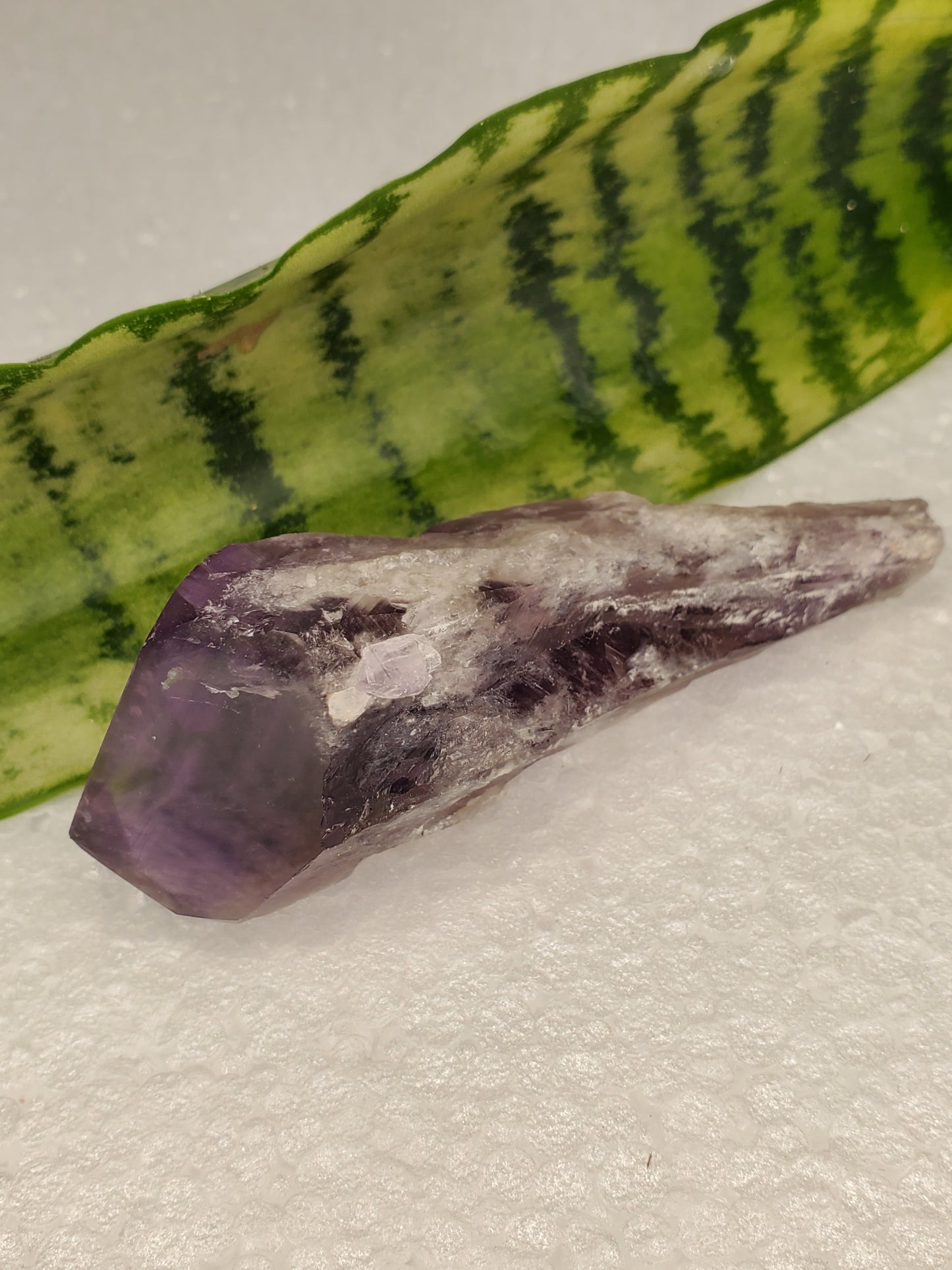 Natural Phantom Amethyst Root Crystal C