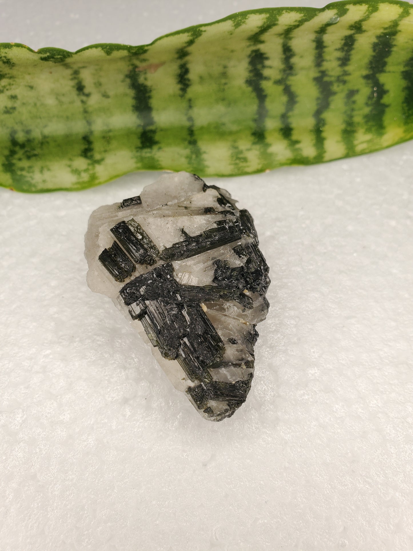 Black Tourmaline Tumble