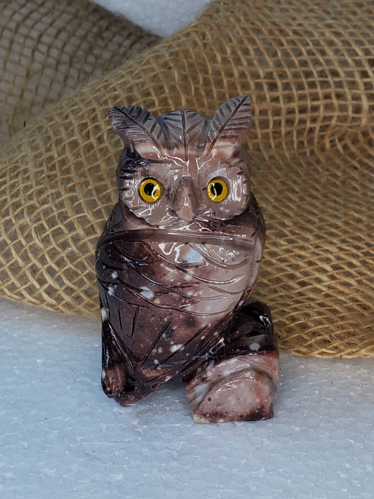 Jasper Owl