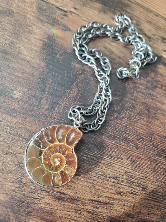 Bohemian Ammonite pendant