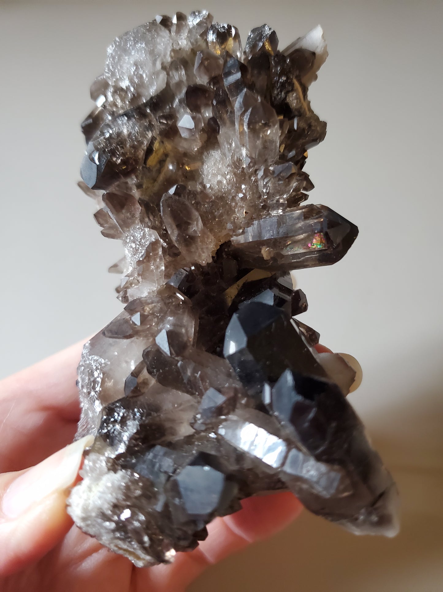 Smoky Quartz Cluster H
