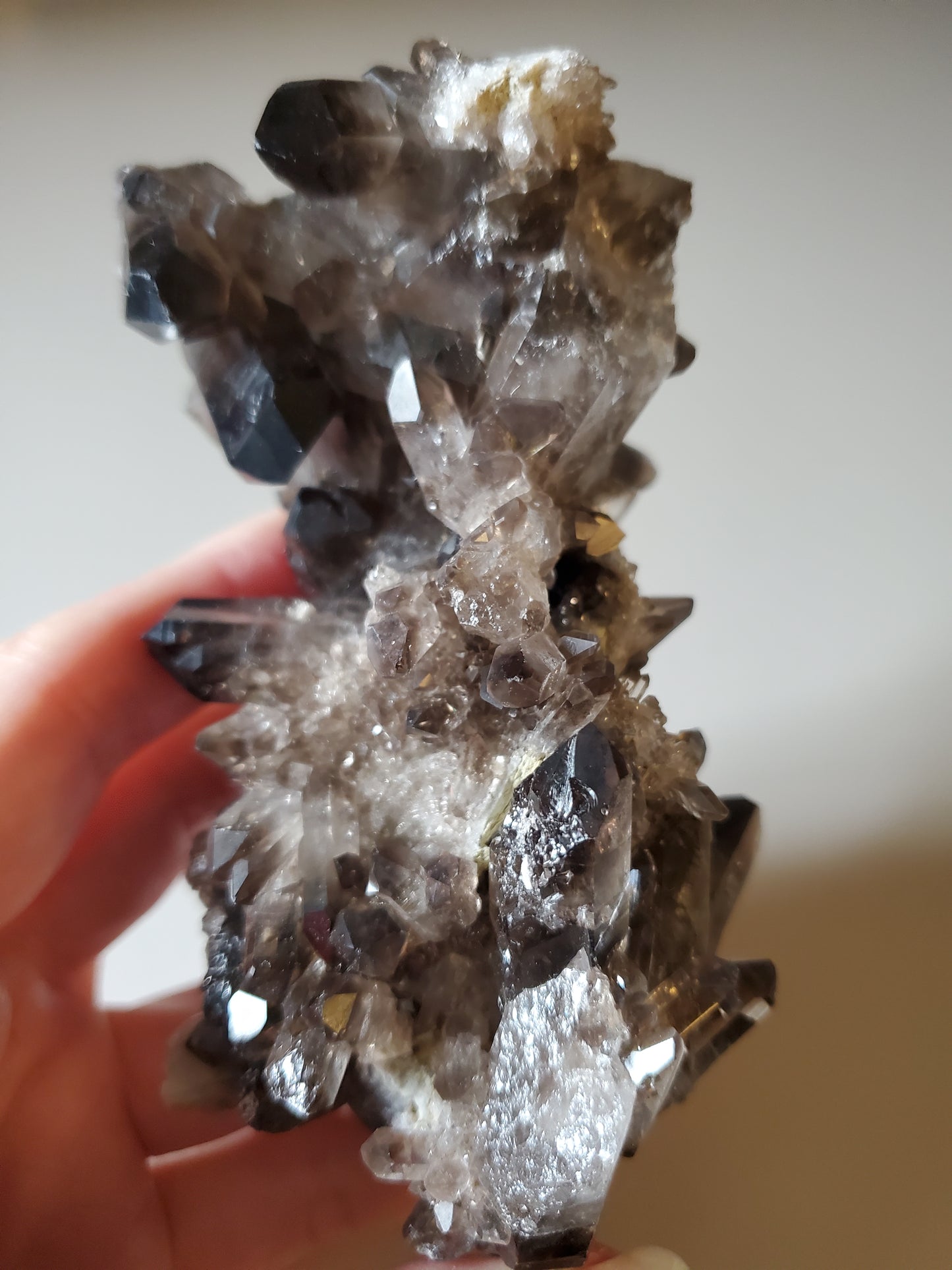 Smoky Quartz Cluster H
