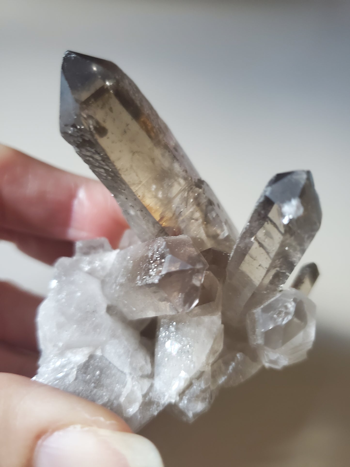 Smoky Quartz Cluster E