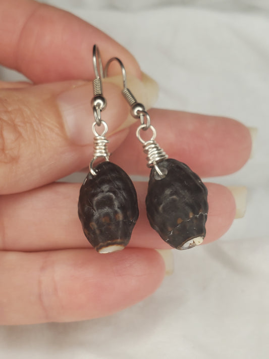 Hawaii Drupa Shell Dangles