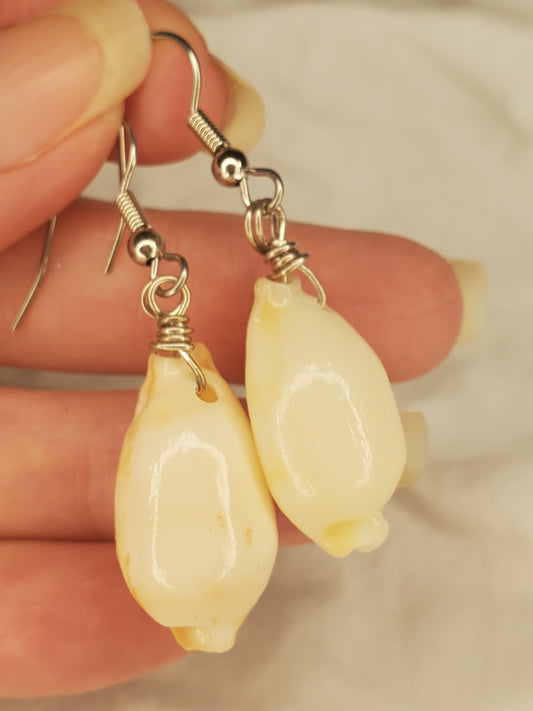 Cowrie Shell Dangles
