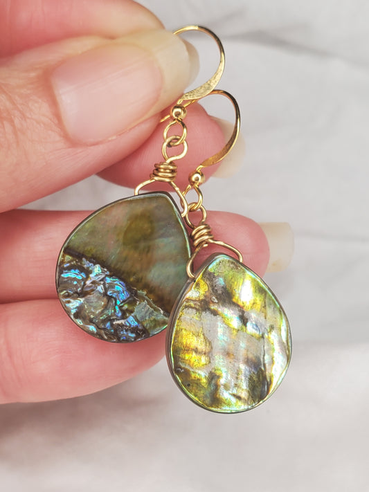 Paua Shell Dangles