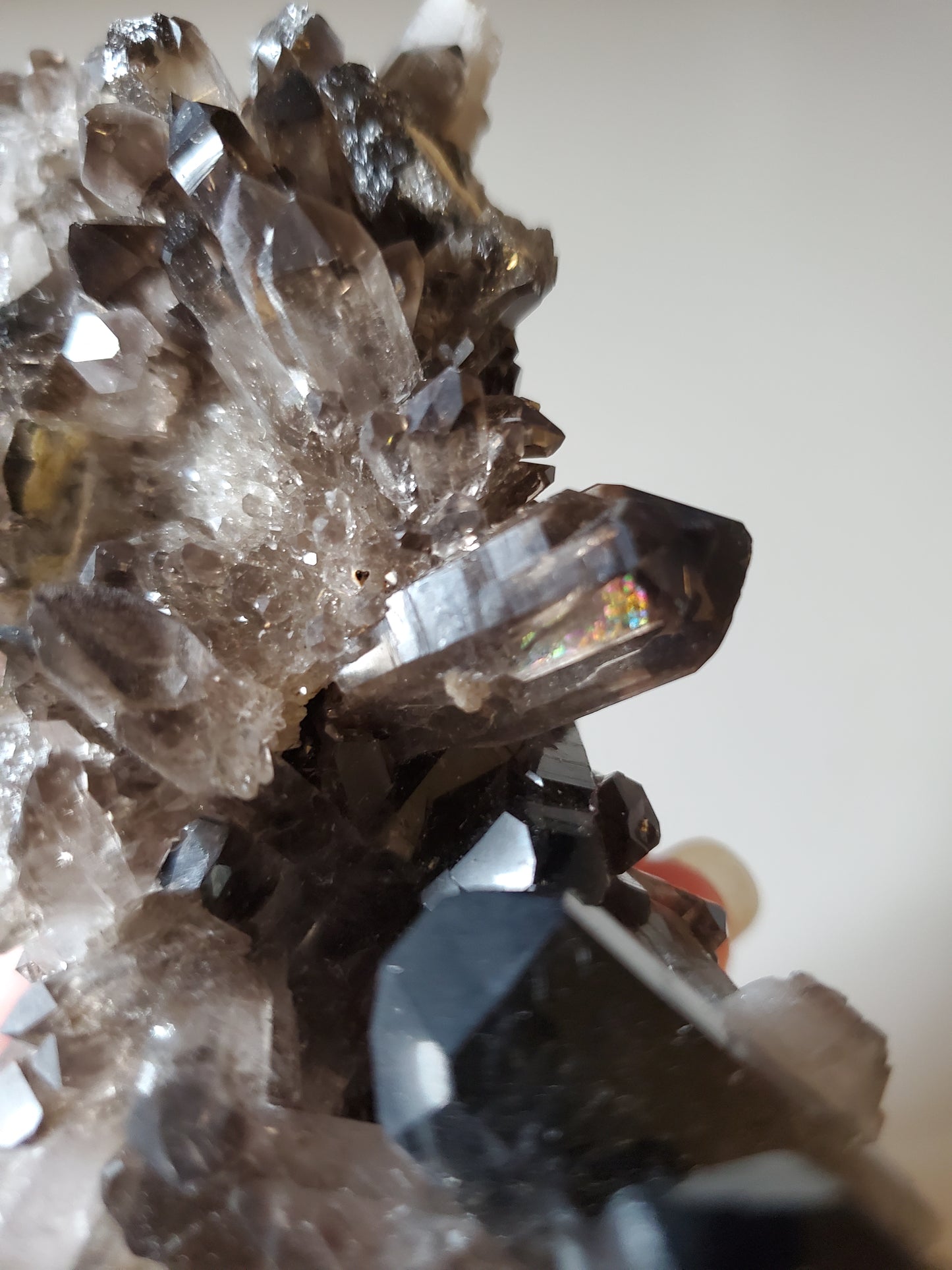 Smoky Quartz Cluster H