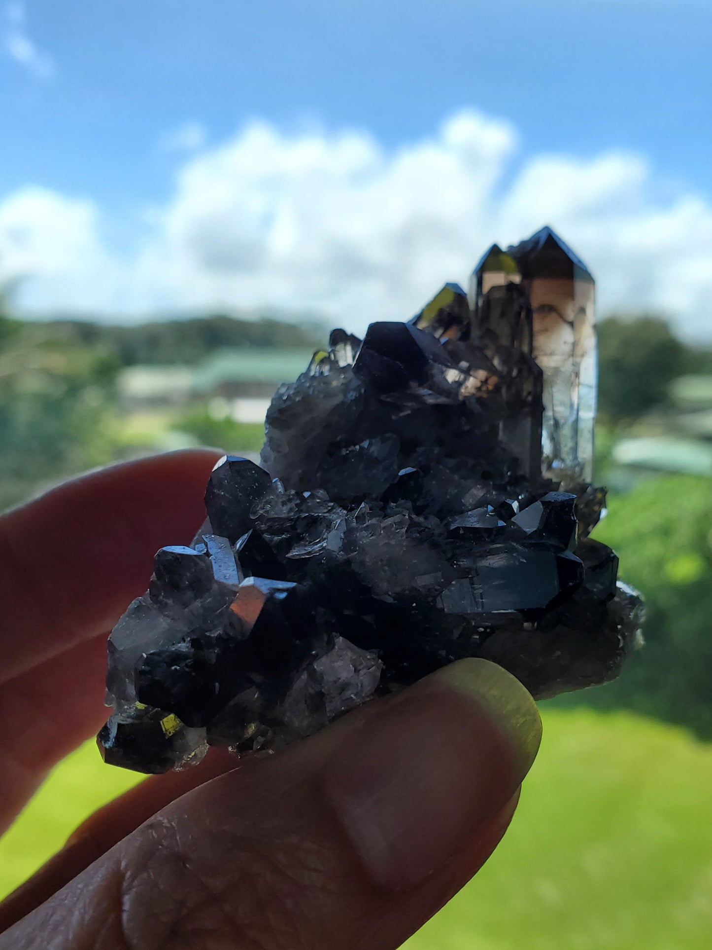 Smoky Quartz Cluster C