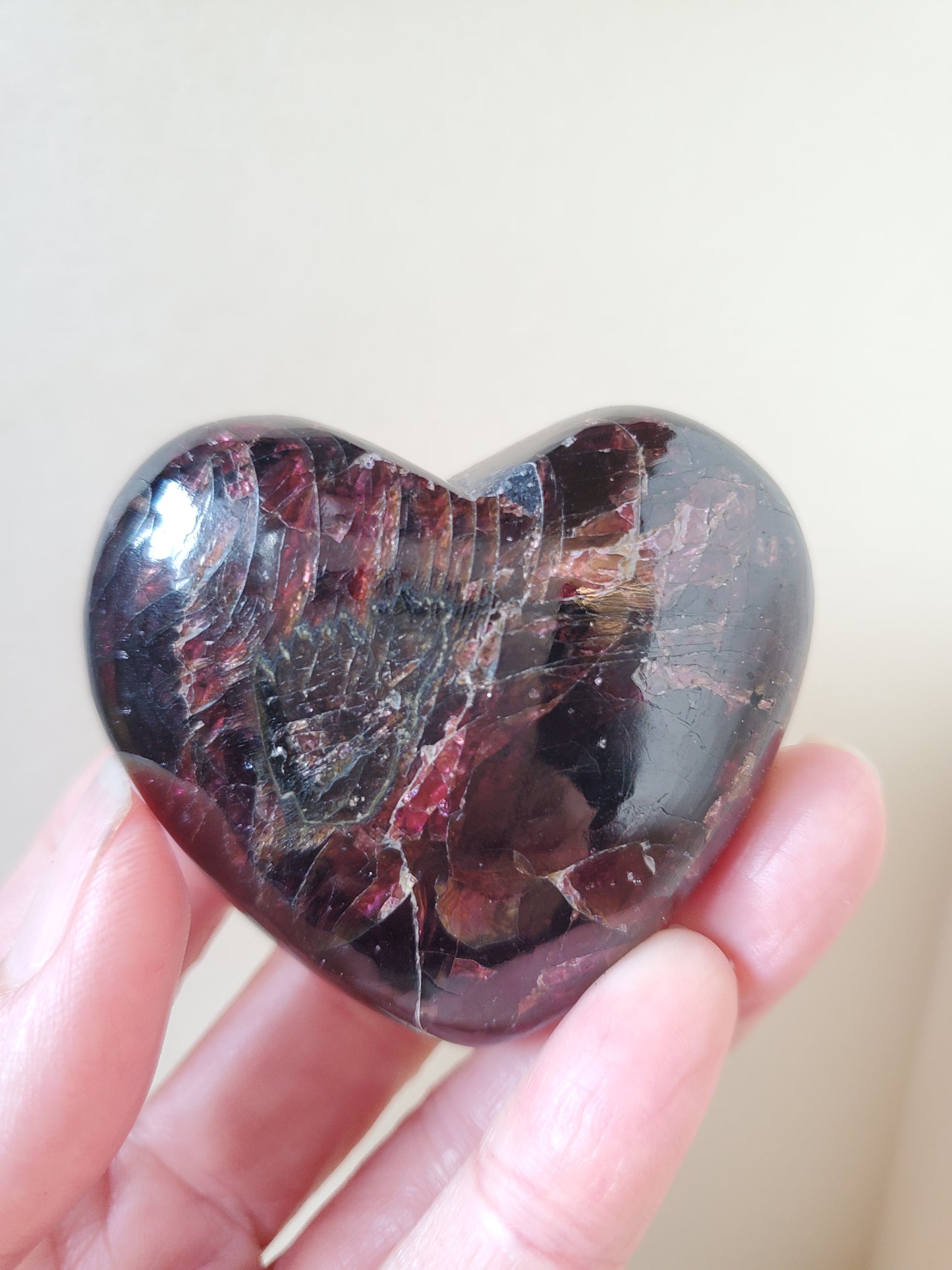 Garnet Heart Palm