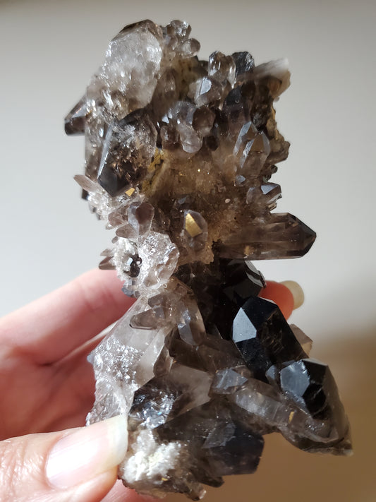 Smoky Quartz Cluster H