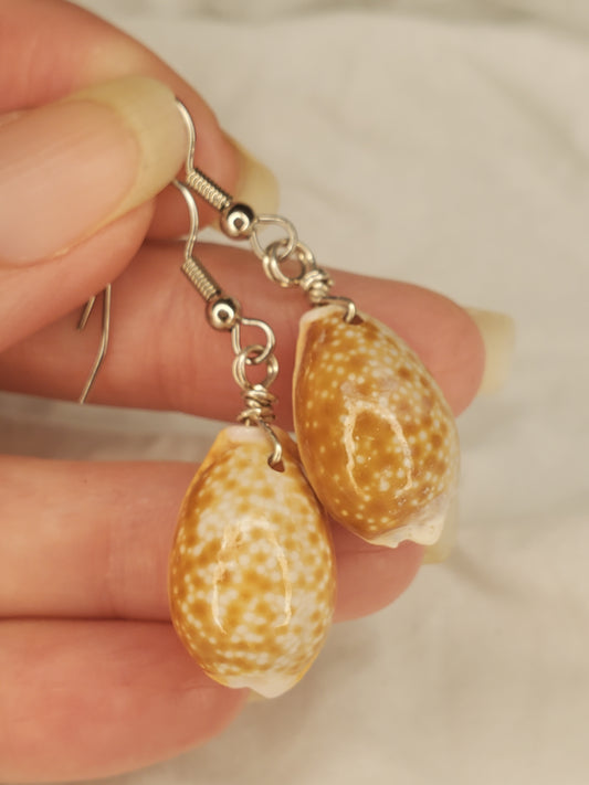 Honey Cowrie Shell Dangles