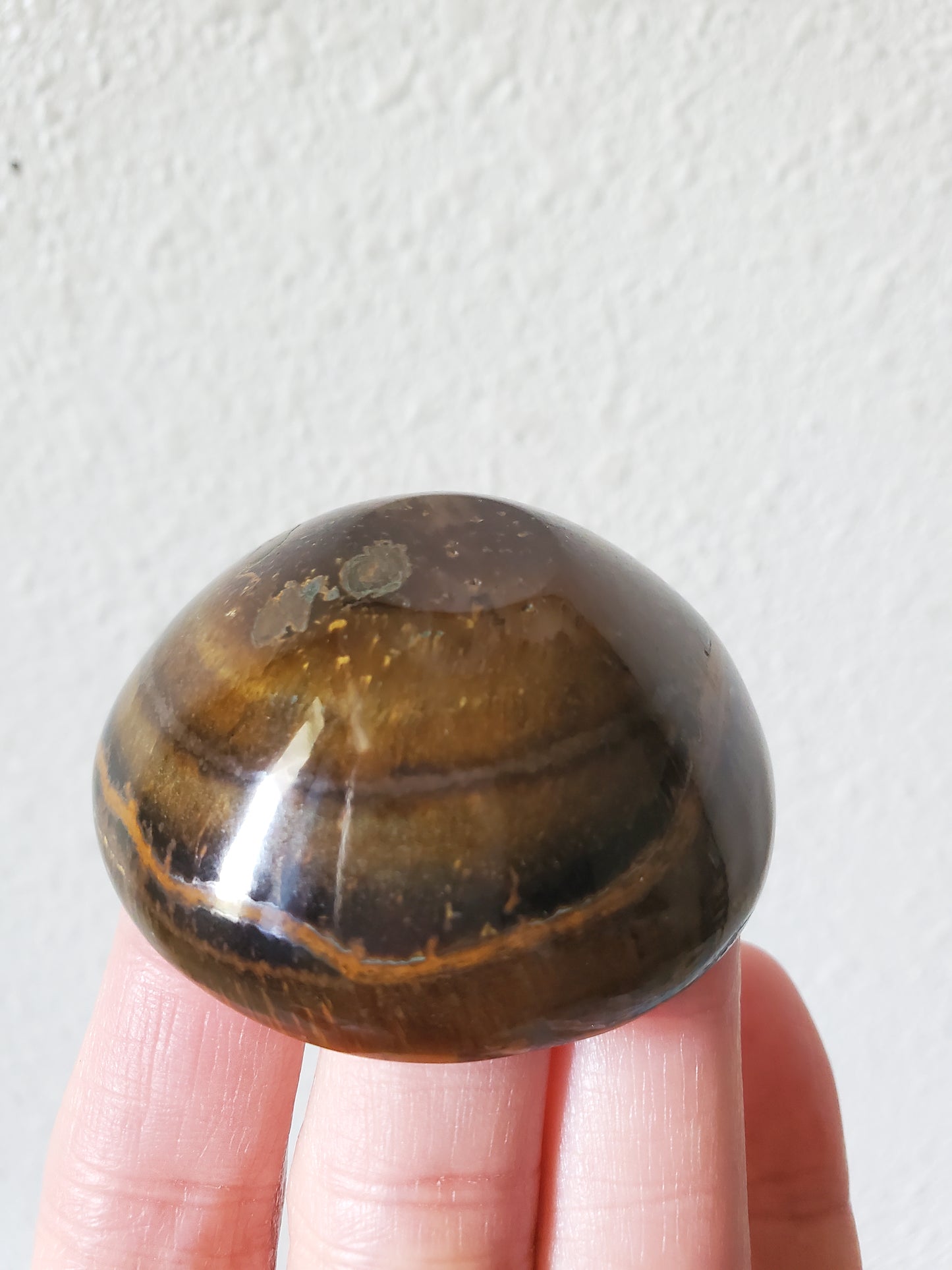 Tiger Eye Bowl B