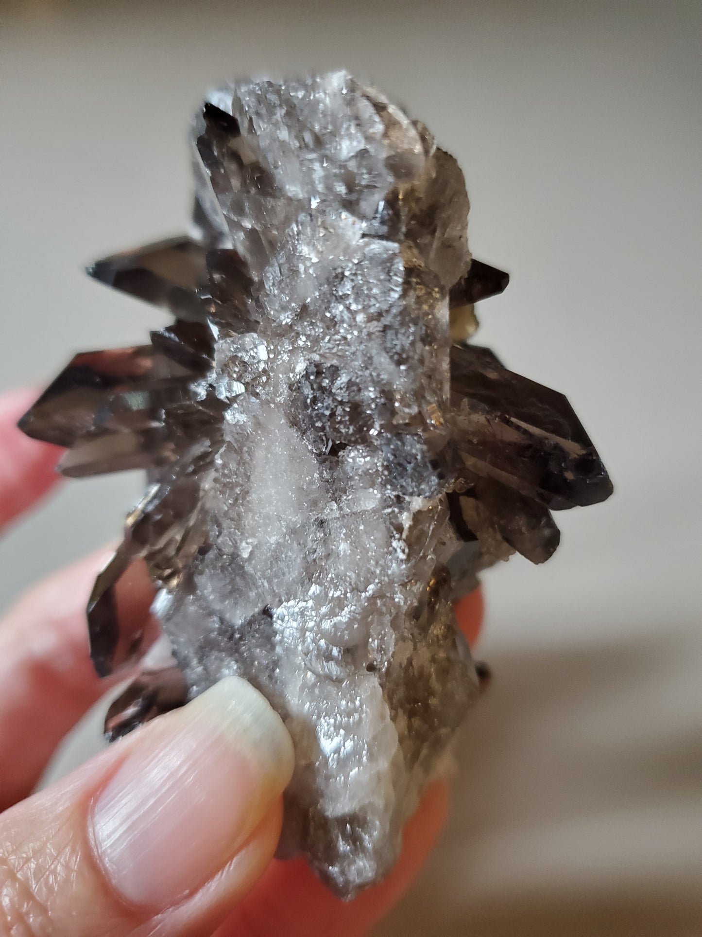 Smoky Quartz Cluster G