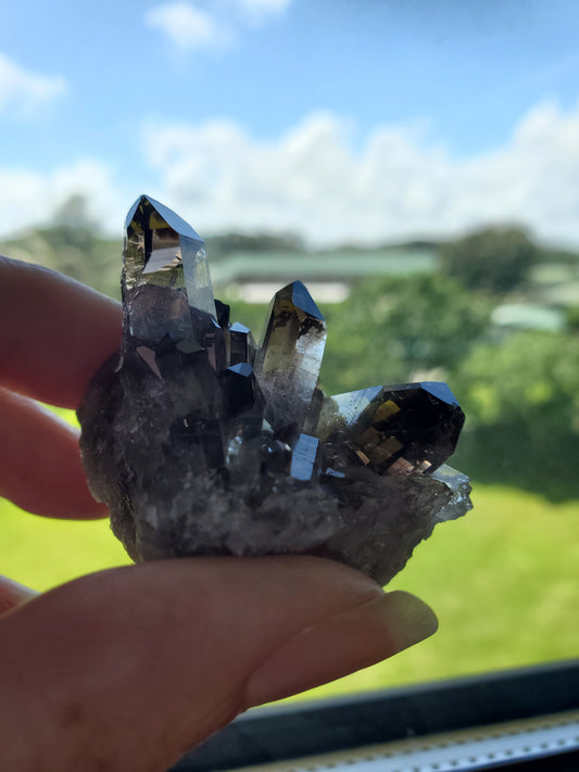 Smoky Quartz Cluster F