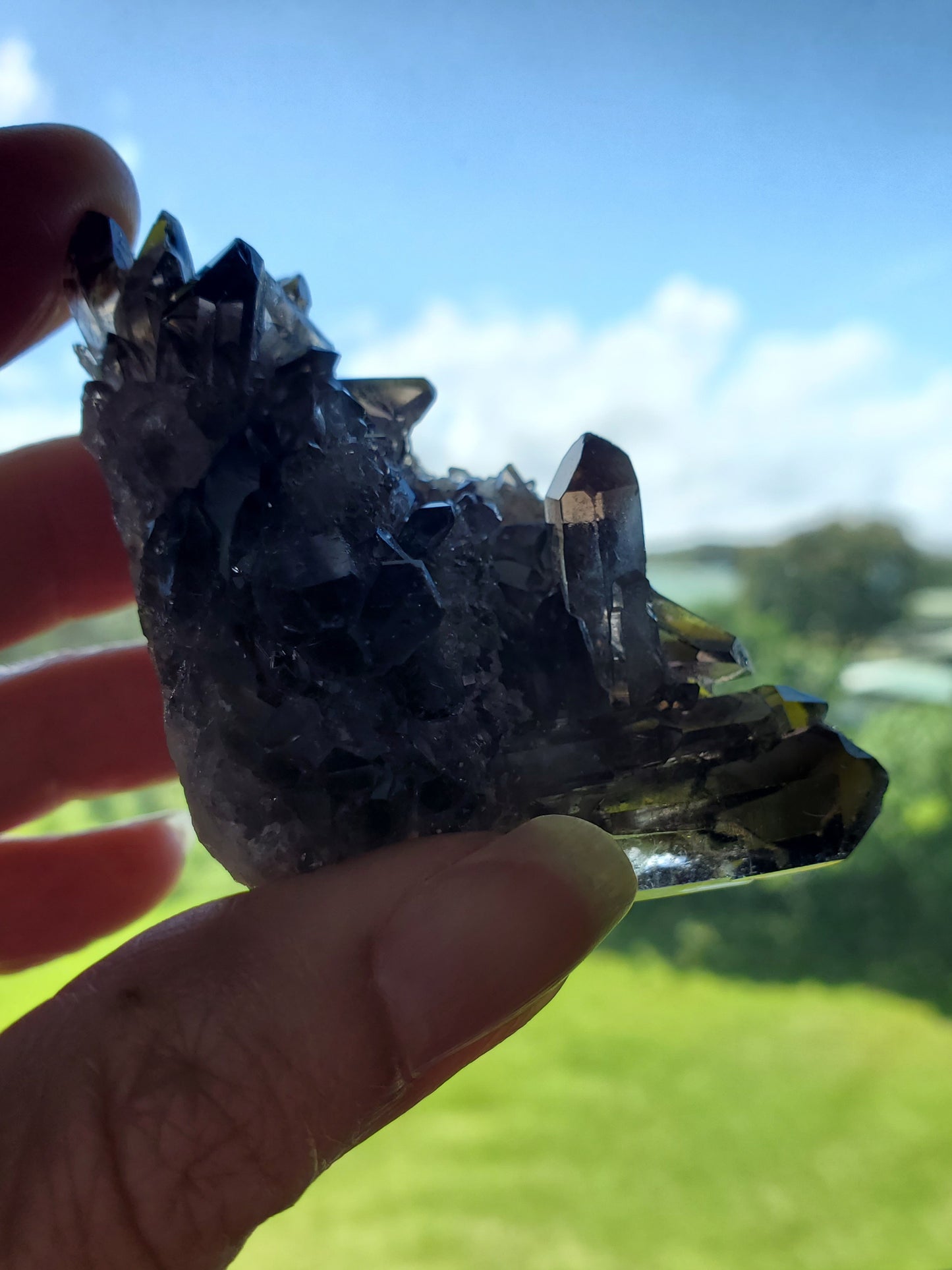 Smoky Quartz Cluster C