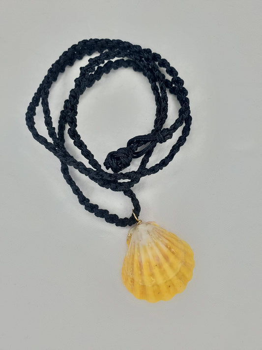 Hawaiian Sunrise Shell Pendant