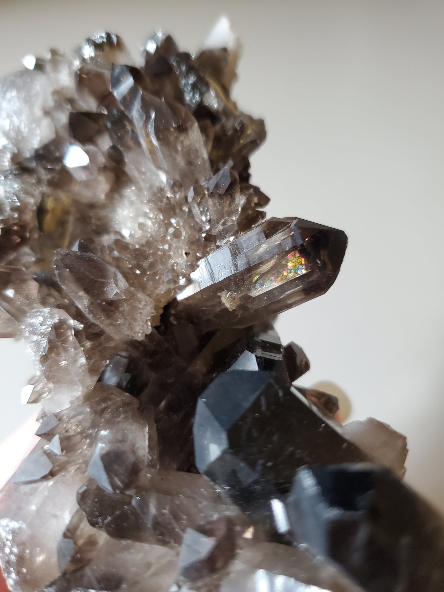 Smoky Quartz Cluster H