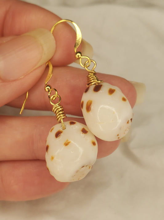 Hawaii Drupa Shell Dangles