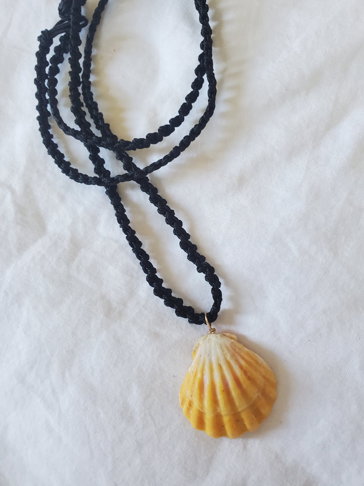 Hawaiian Sunrise Shell Pendant