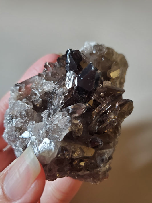 Smoky Quartz Cluster G