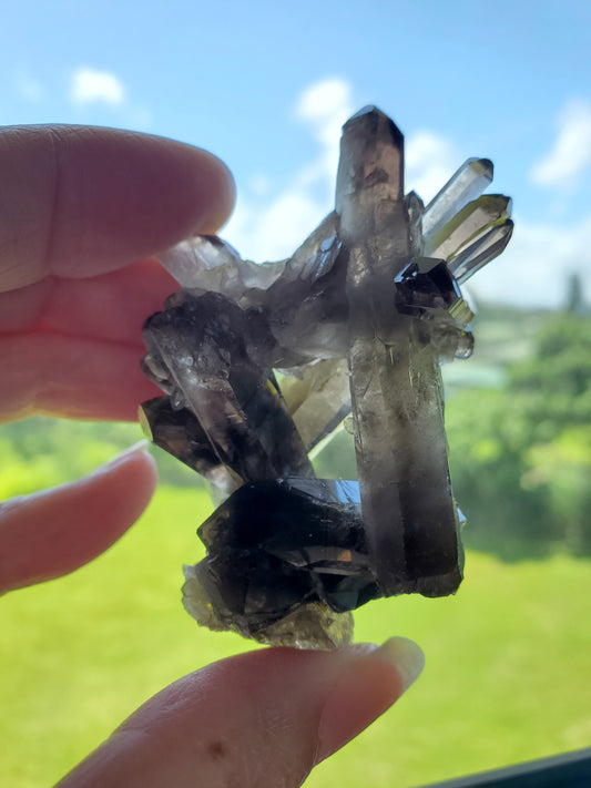 Smoky Quartz Cluster D