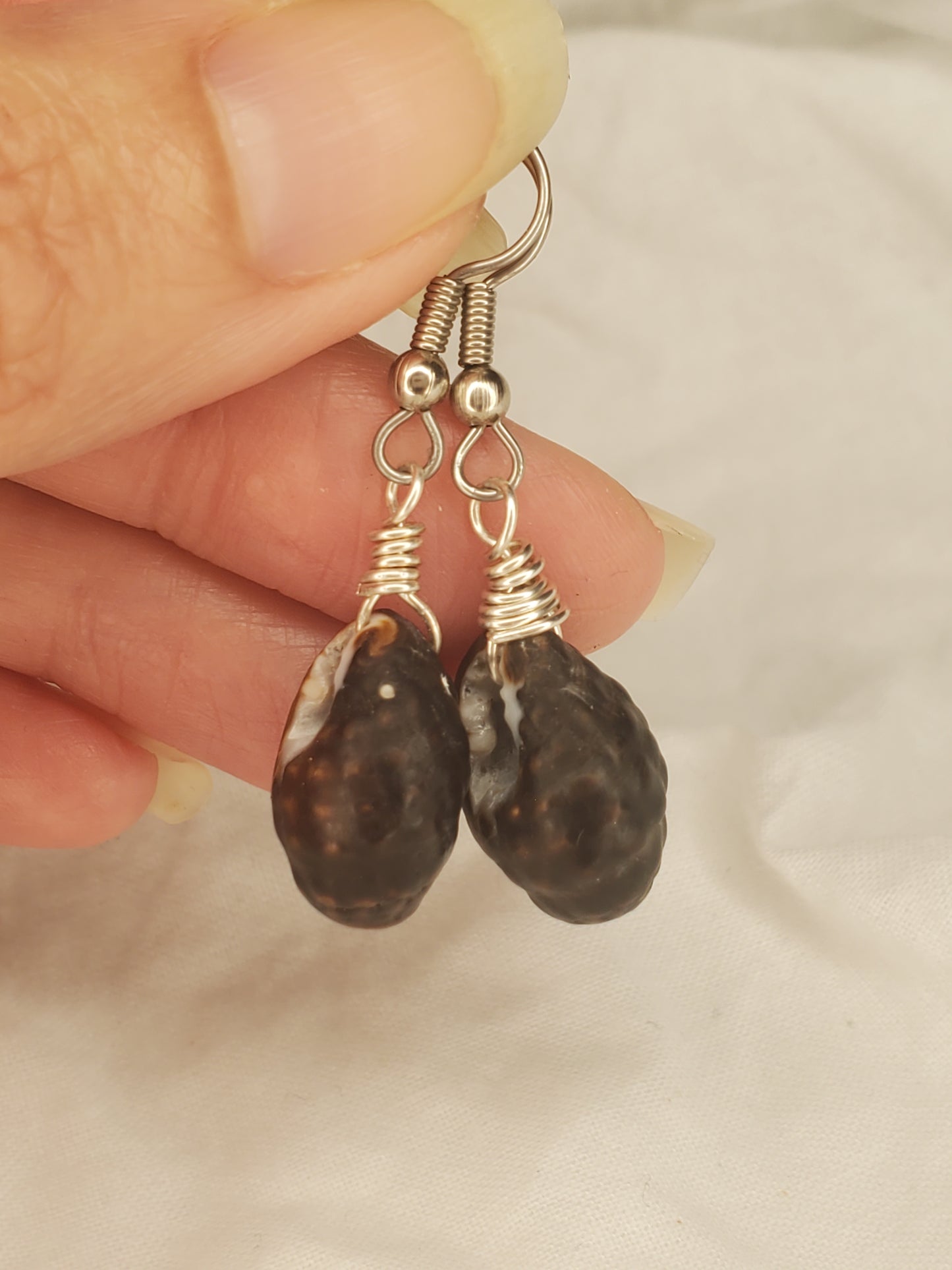 Hawaii Drupa Shell Dangles