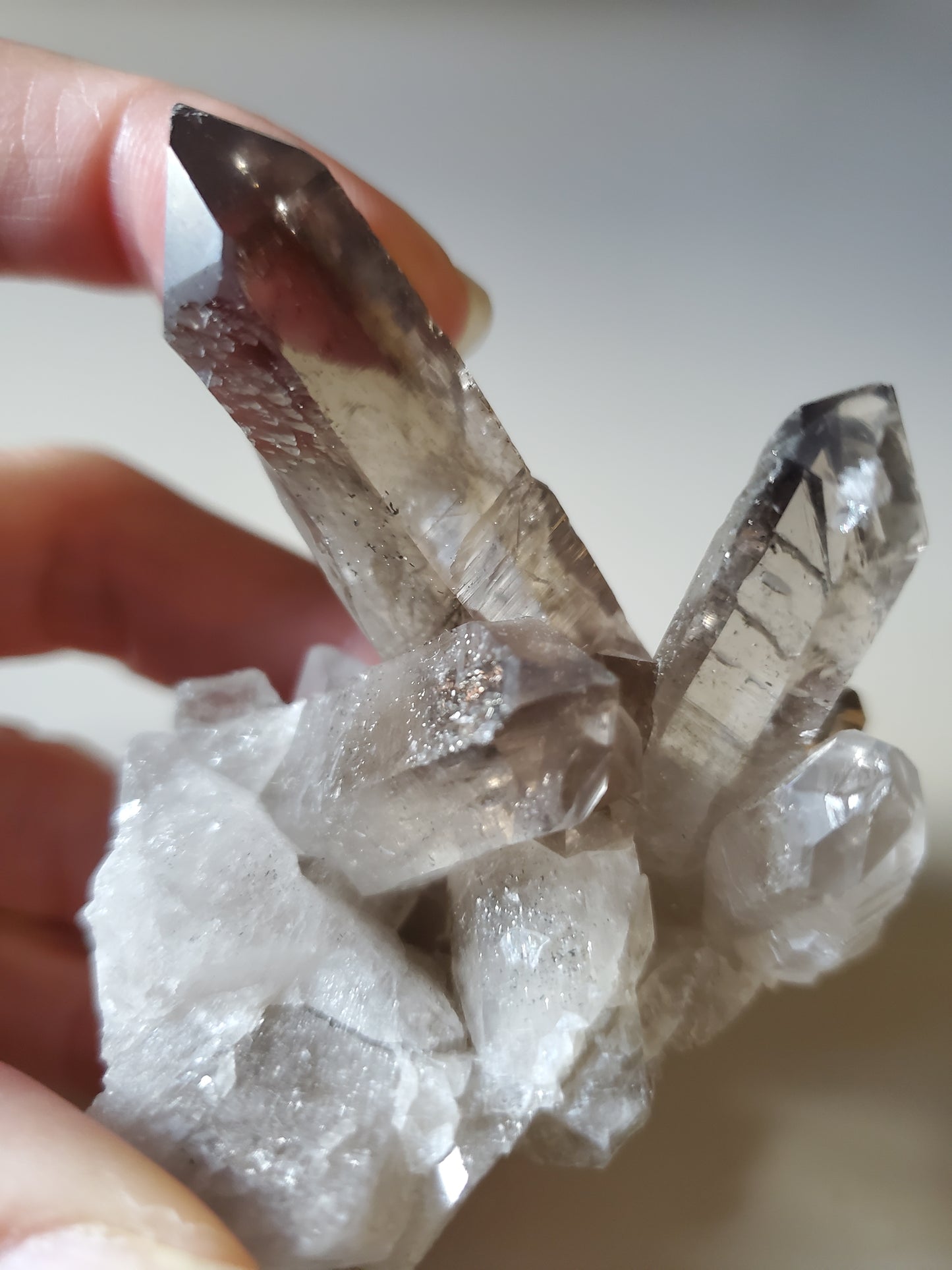 Smoky Quartz Cluster E