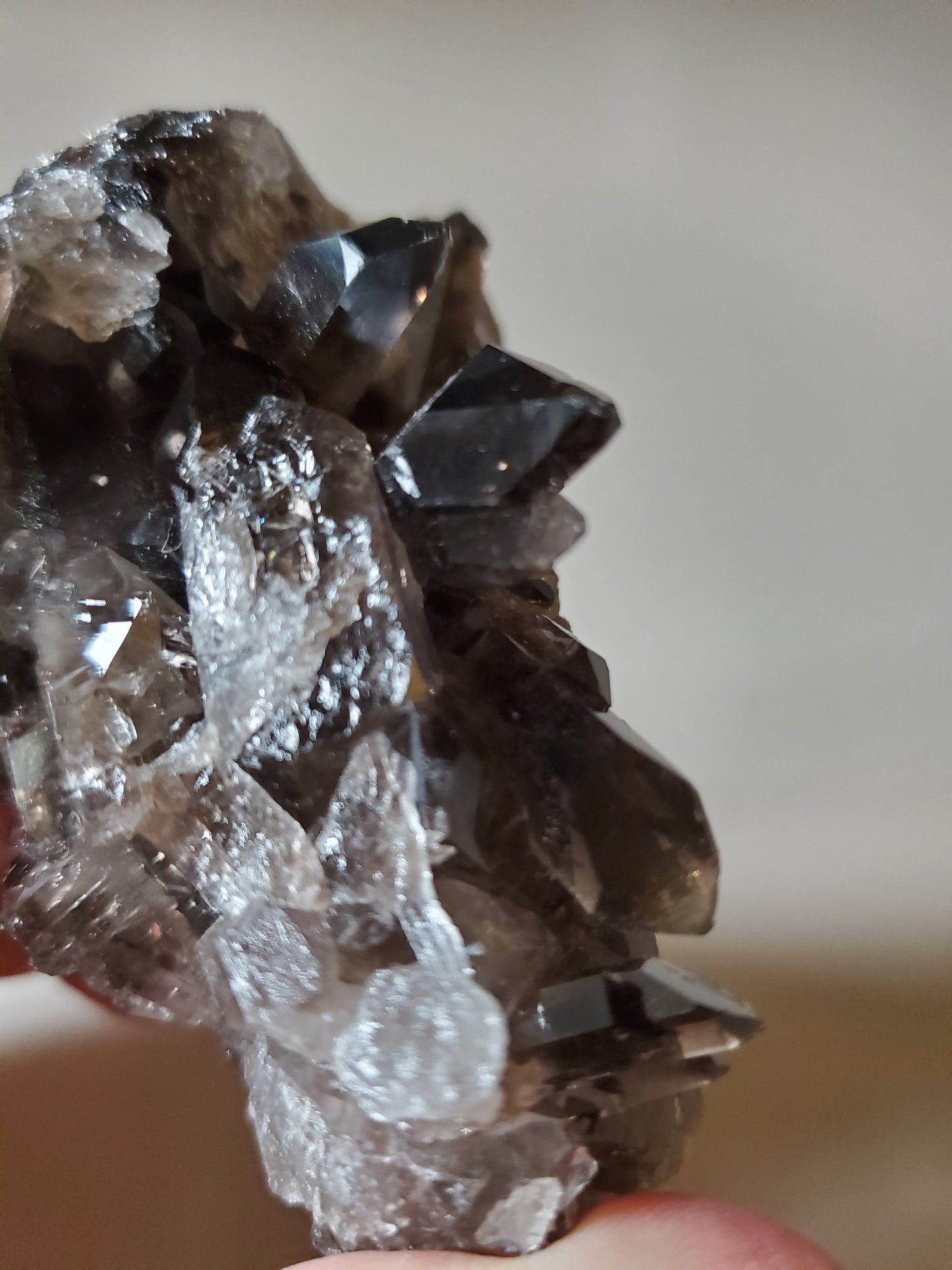 Smoky Quartz Cluster G