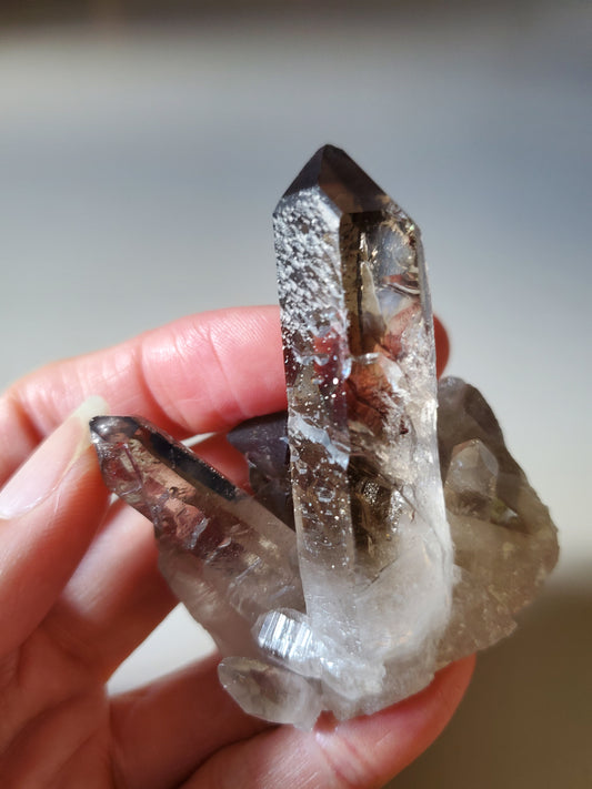 Smoky Quartz Cluster E