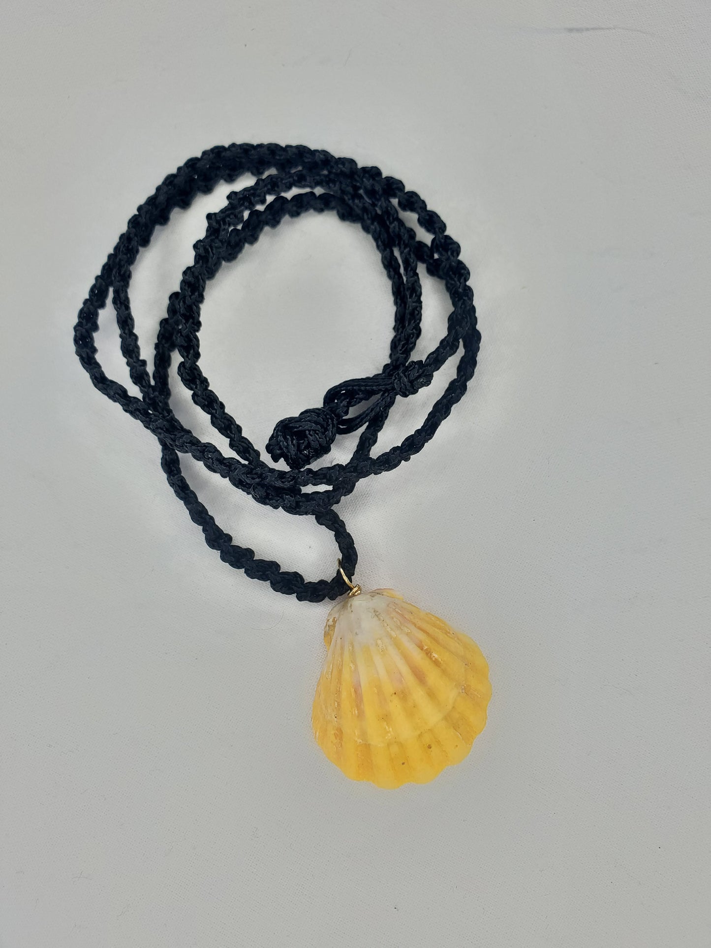 Hawaiian Sunrise Shell Pendant