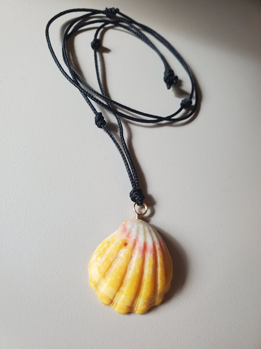 Hawaiian Sunrise Shell Pendant